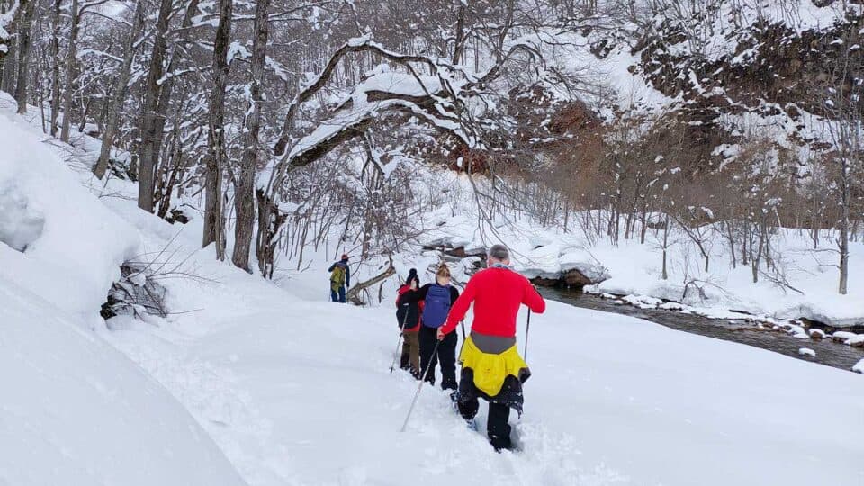 group of people snowshoeing through a forest and beside a river